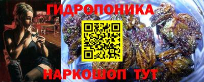 эйфоретик Аша